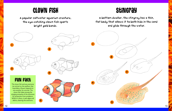How to Draw Sea Creatures