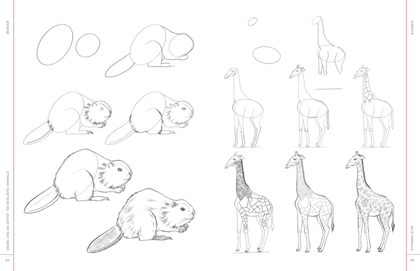 Draw Like an Artist: 100 Realistic Animals