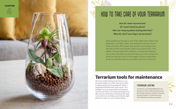 A Family Guide to Terrariums for Kids