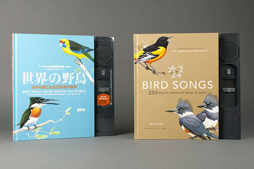 Bird Songs in Japanes and Bird Songs in English